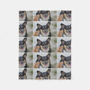 Le corgien fleecefilt