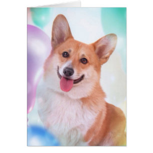 Le corgien med ballonger hälsningskort