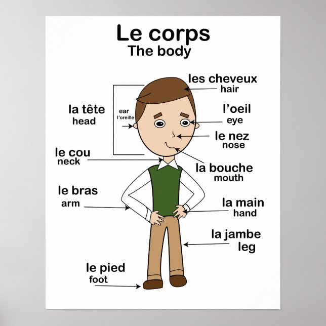 Le corps body Fransk English Educational Poster (Framsidan)