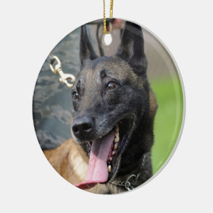 Le den belgareMalinois hunden Julgransprydnad Keramik