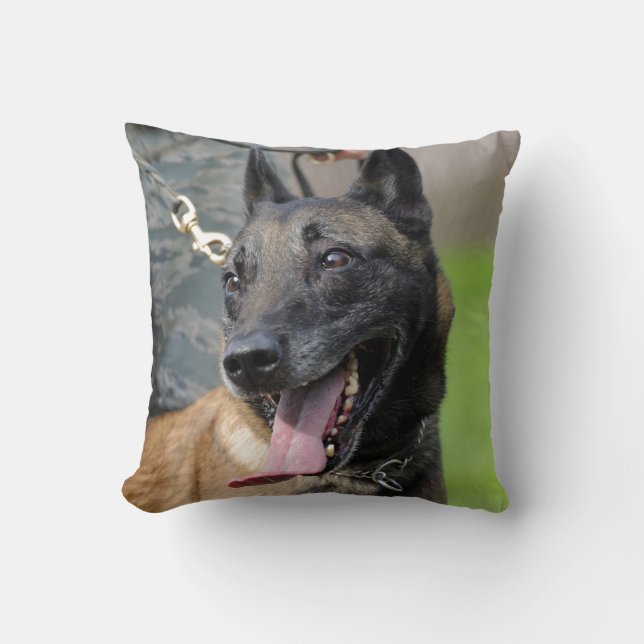 Le den belgareMalinois hunden Kudde (Framsida)
