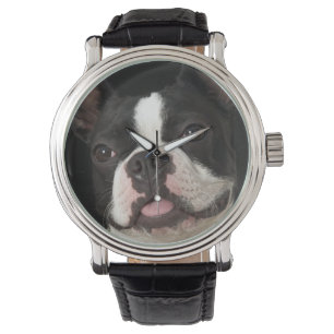 Le den Boston terrieren med förse med krage Armbandsur