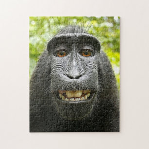 Le den Celebes macaquen Pussel
