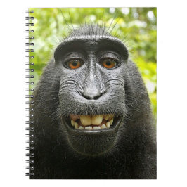 Le den krönade Celebes macaquen Anteckningsbok Med Spiral