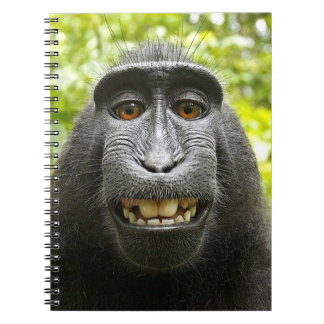 Le den krönade Celebes macaquen Anteckningsbok Med Spiral