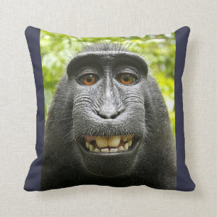 Le den krönade macaquen kudde