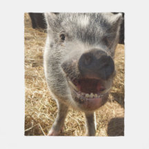 Le den mini- grisullfilten, medel