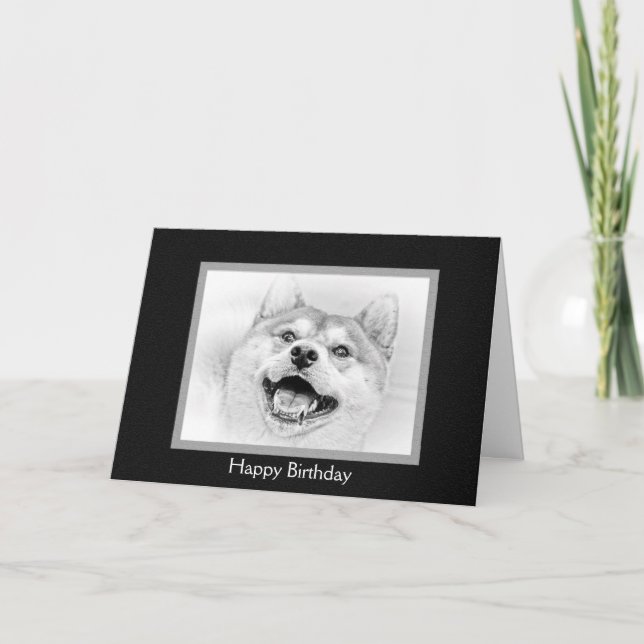 Le den Shiba Inu hunden Kort (Framsida)