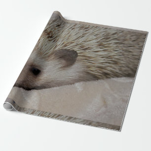 Le igelkotten presentpapper
