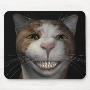 Le katten musmatta