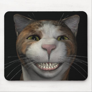Le katten musmatta