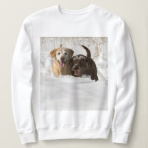 Le Labrador Retrievers i snö