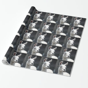 Le llamaen som slår in papper presentpapper