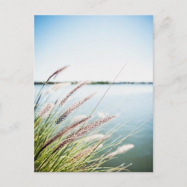 Le long du Saint-Laurent Vykort (Framsida)