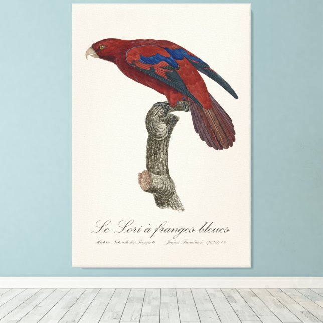 Le Lori a franges bleues Canvastryck (Insitu (trägolv))