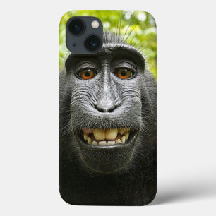 Le macaquen