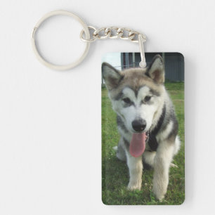 Le malamuten Keychain Nyckelring