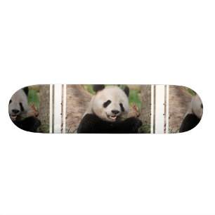 Le Pandabjörnen Skateboard Bräda 20,5 Cm