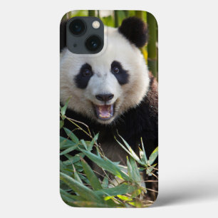 Le Pandaporträtt
