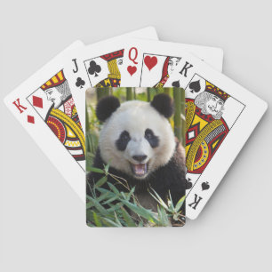 Le Pandaporträtt Kortlek