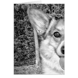 Le Pembrokecorgien Hälsningskort