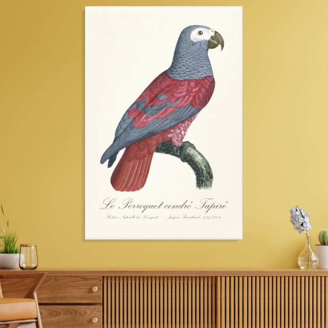 Le Perroquet cendre Tapire Canvastryck (Insitu (Vardagsrum))