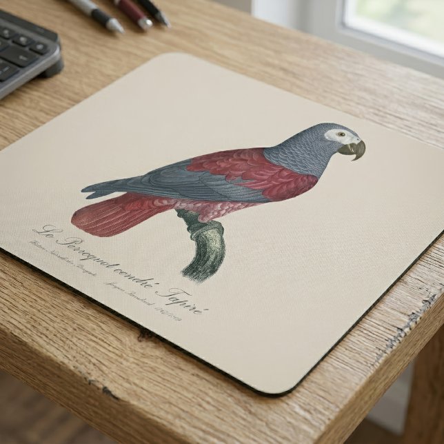 Le Perroquet cendre Tapire Musmatta (African Grey Parrot Red Factor Psittacus Erithacus. Mouse Pad)