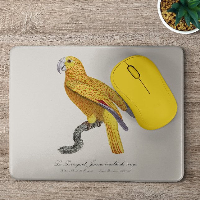 Le Perroquet Jaune ecaille de rouge Musmatta (Le Perroquet Jaune ecaille de rouge. Mouse Pad)