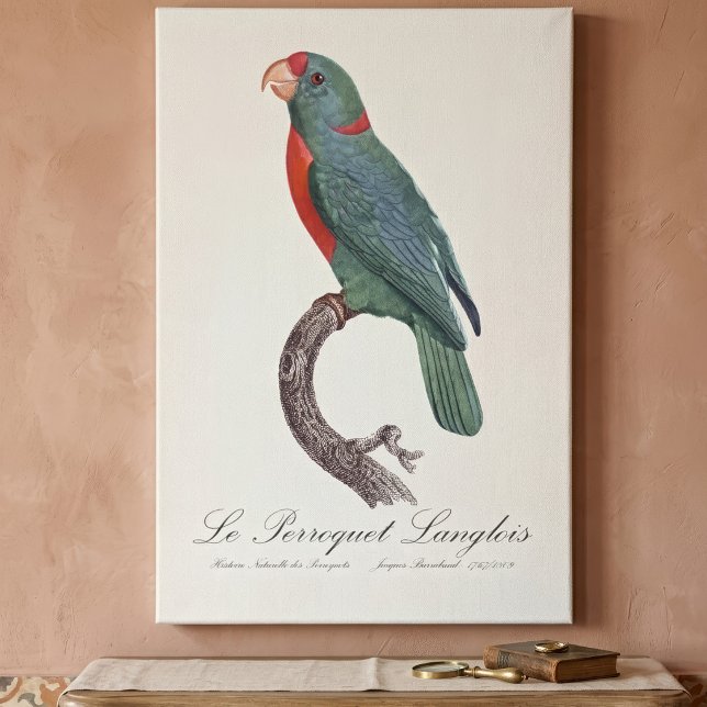 Le Perroquet Langlois Canvastryck (Le Perroquet Langlois by Jacques Barraband. Canvas Print)