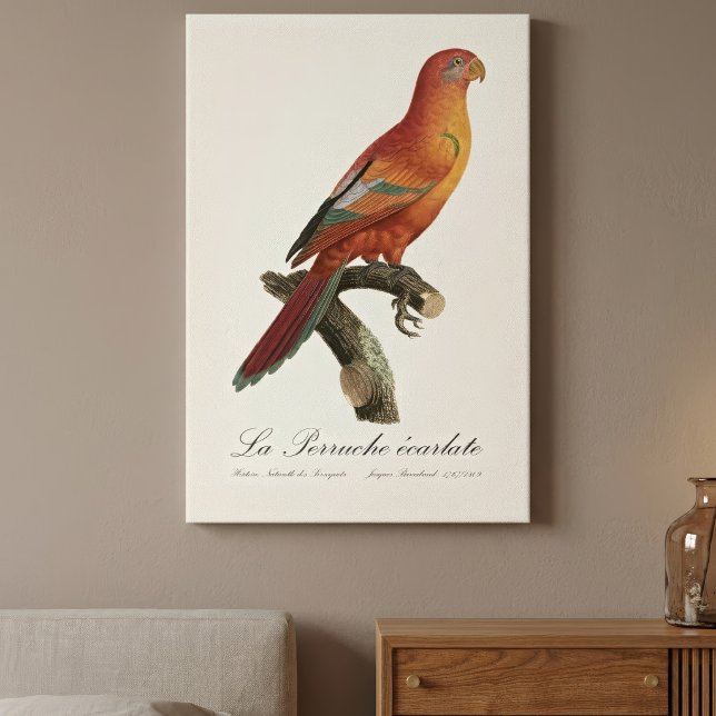 Le Perruche ecarlate Canvastryck (Red Lory or Eos Bornea, Trichoglossus borneus. Canvas Print)