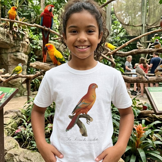 Le Perruche ecarlate T Shirt (Red Lory or Eos Bornea, Trichoglossus borneus. Girl Basic White T-Shirt)