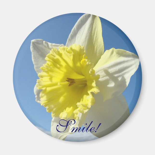 LE SMILE! Magnetgåvor Gul Narciss Blommagneter Magnet (Framsidan)