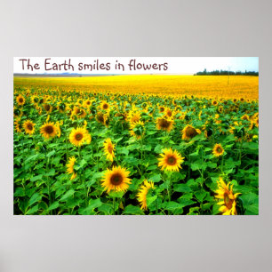 Le solrosor vid TDGallery Poster