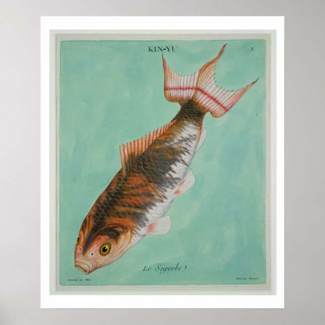 Le Superbe, graverad av Francois Nicholas Martinet Poster (Framsidan)