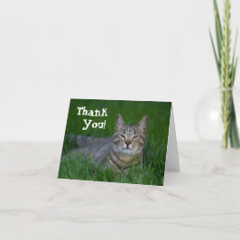 Le tabby katttack tack kort