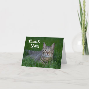 Le tabby katttack tack kort