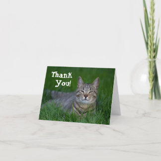Le tabby katttack tack kort