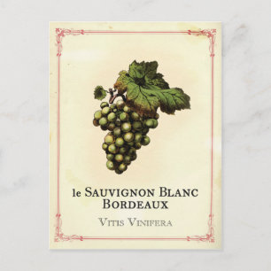 Le Vin Blanc Vykort