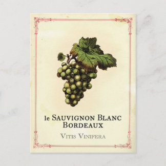 Le Vin Blanc Vykort