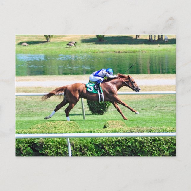 Lea - Startar Winning Chestnut Colt Vykort (Framsida)