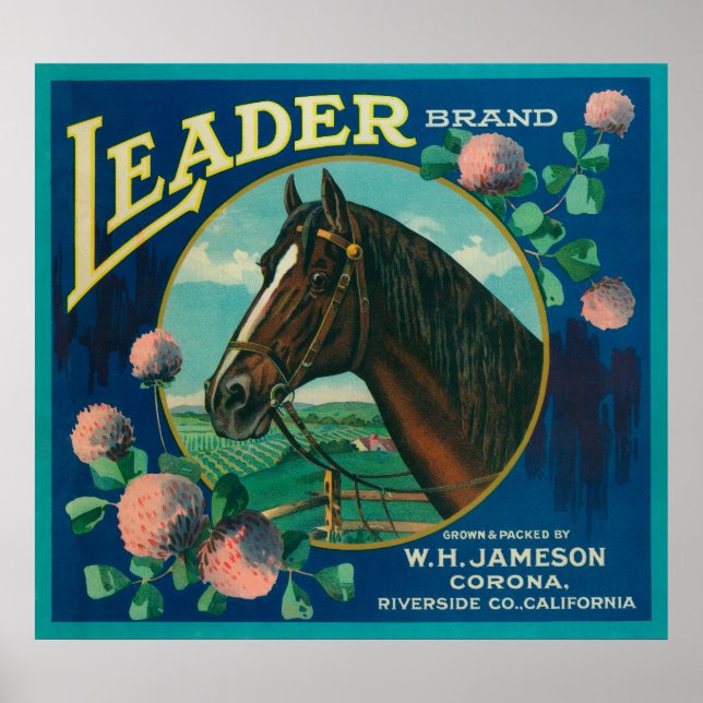 Leader Orange LabelCorona, CA Poster (Framsidan)