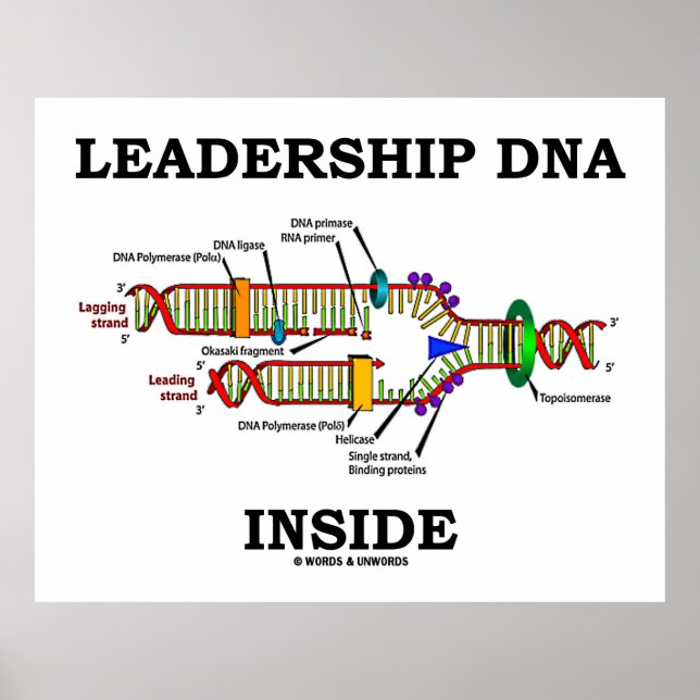 Leadership DNA Inside (Biology Attitude) Poster (Framsidan)