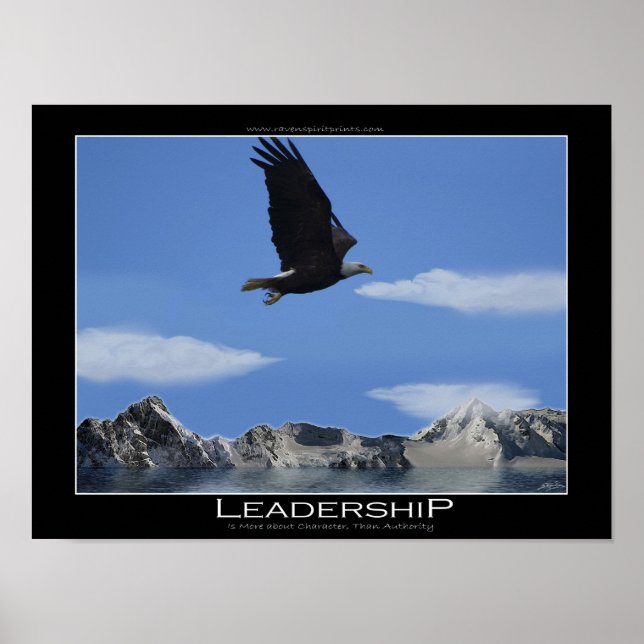 LEADERSHIP Flies Eagle & Mountains Motivational Poster (Framsidan)