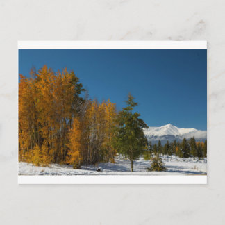 Leadville Autumn Views Vykort