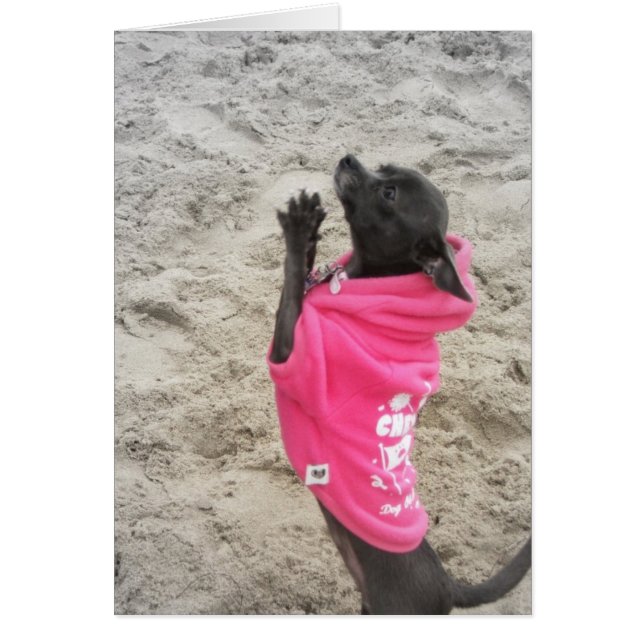 Leaeasssee! Hälsningskort (Framsidan)