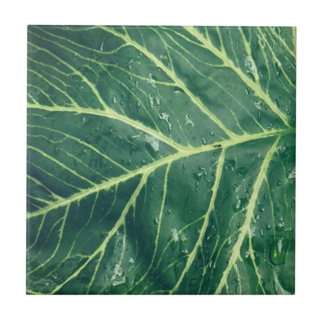 Leaf Print Kakelplatta (Framsidan)