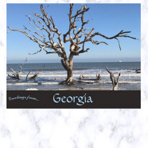 Leafless Träd i Jeckyll Island Georgia USA Vykort