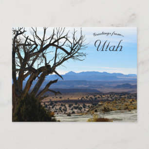 Leafless Träd i Utah Vykort