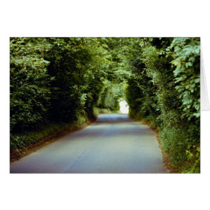 Leafy lane, Beach Kor, Öster Sussex, England Hälsningskort