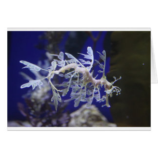 Leafy Sea Dragon Hälsningskort